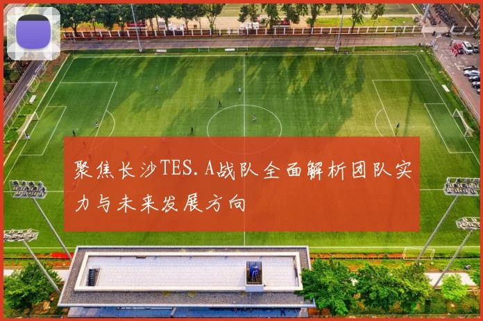 聚焦长沙TES.A战队全面解析团队实力与未来发展方向