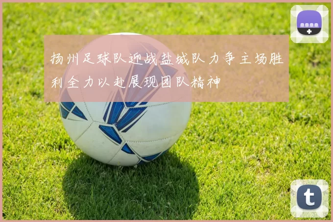 扬州足球队迎战盐城队力争主场胜利全力以赴展现团队精神