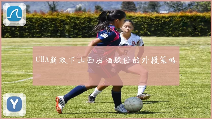 CBA新政下山西汾酒股份的外援策略