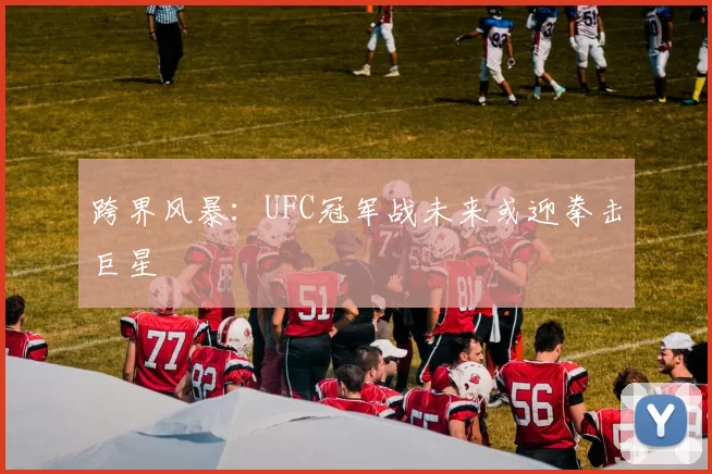 跨界风暴：UFC冠军战未来或迎拳击巨星