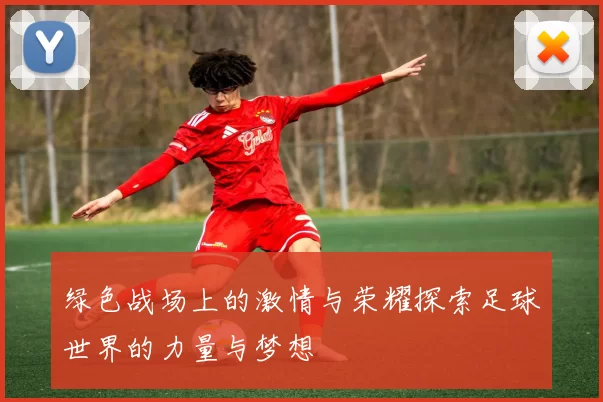 绿色战场上的激情与荣耀探索足球世界的力量与梦想